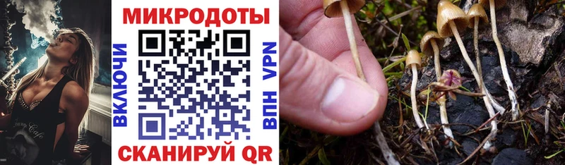 Псилоцибиновые грибы мухоморы  мега как зайти  Лебедянь  наркошоп 