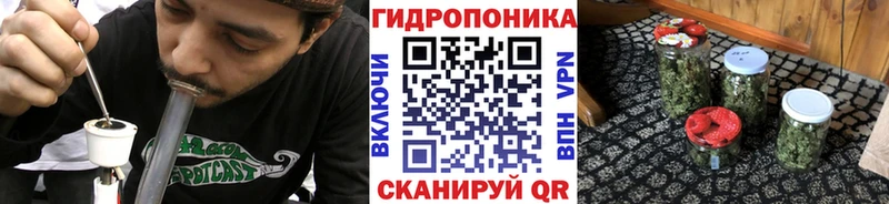 Шишки марихуана Amnesia  Лебедянь 